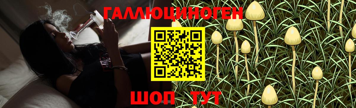 Нерюнгри  Галлюциногенные грибы мухоморы  Вход с VPN  Псилоцибиновые грибы Cubensis 